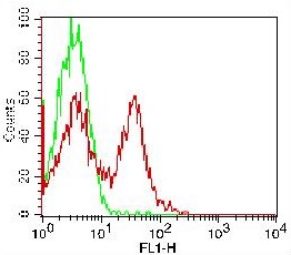 Monoclonal Antibody to CD78 (Clone: FN1) FITC Conjugated